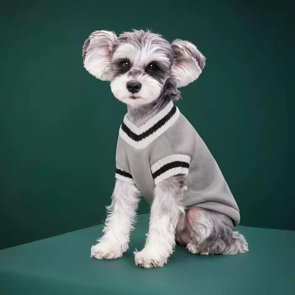 Dog Clothes for Small Medium Dogs