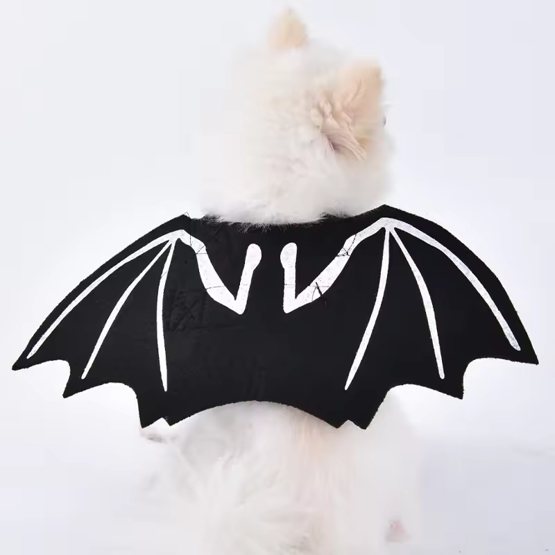 Creative Halloween Pet Costume