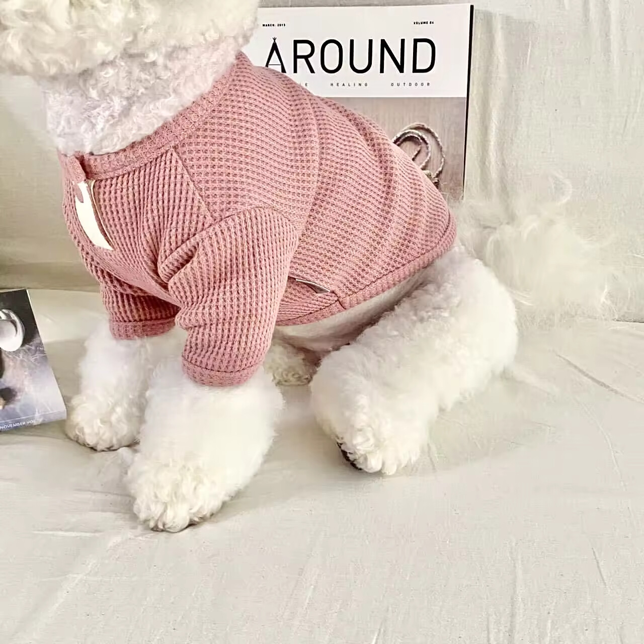 Pet T-Shirt for Dogs & Cats