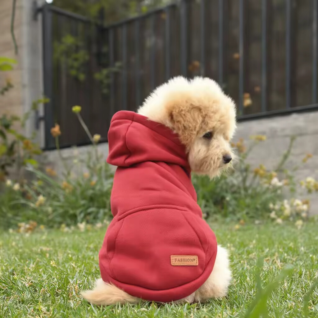 Pet Coat with Animal Pattern