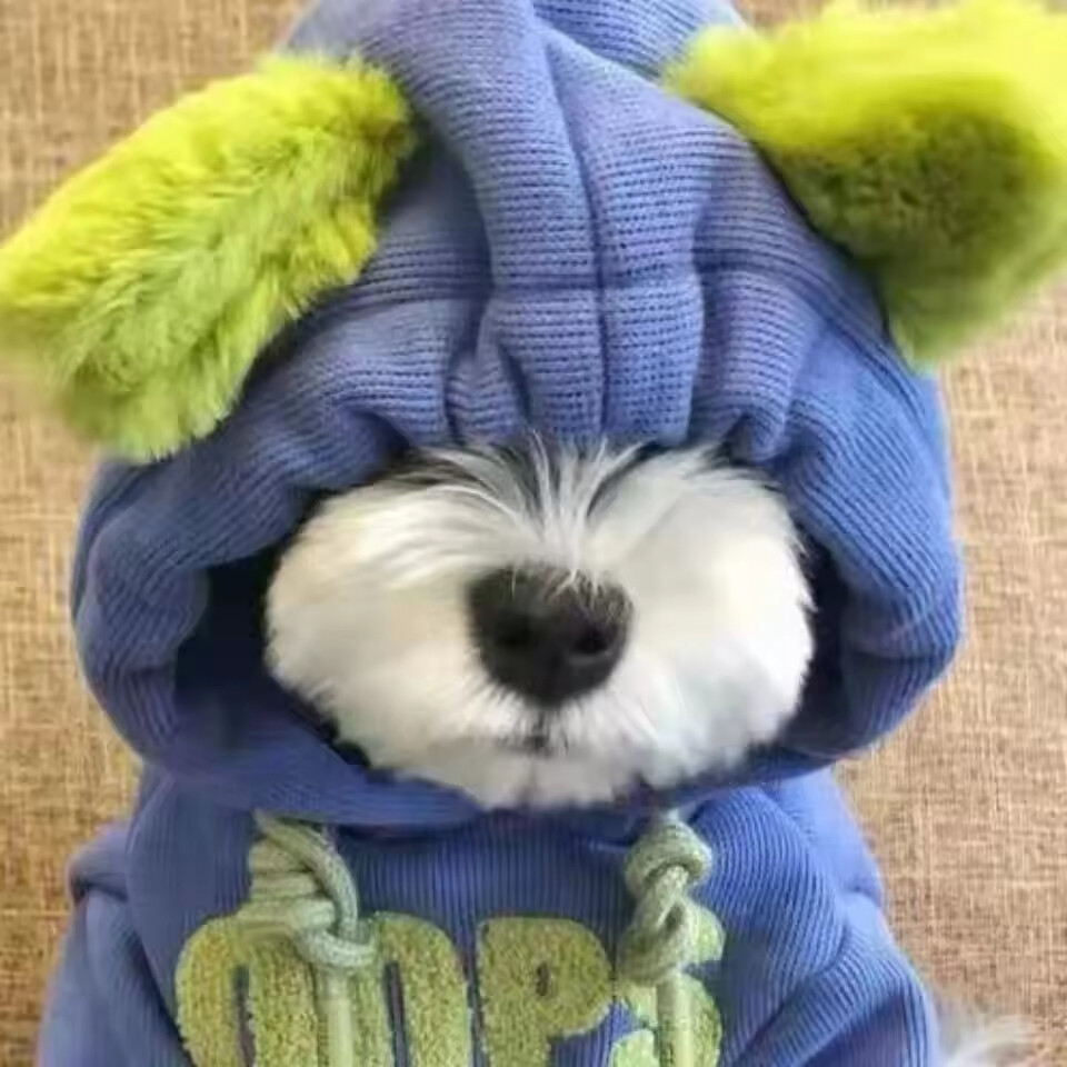 Trendy Sweatshirt Pets Dog Cute Coat