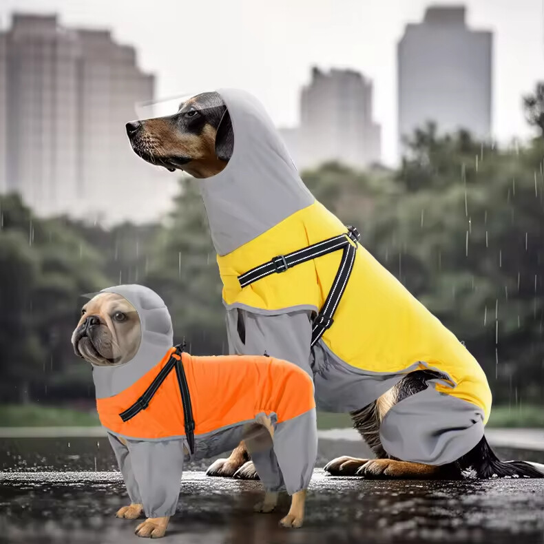 Dog Raincoat With Transparent Mask 