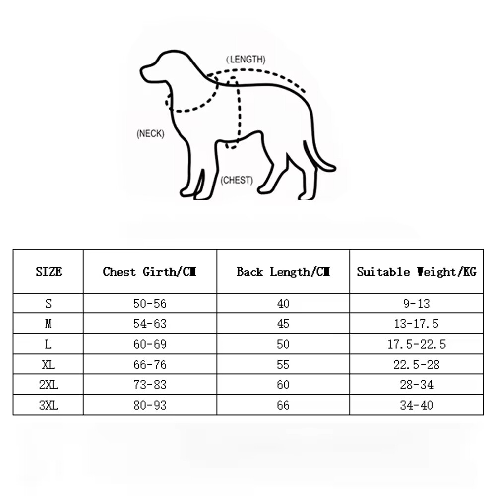 Dog Raincoat With Transparent Mask 