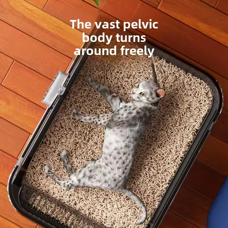 Eco-Friendly Cat Litter Box 