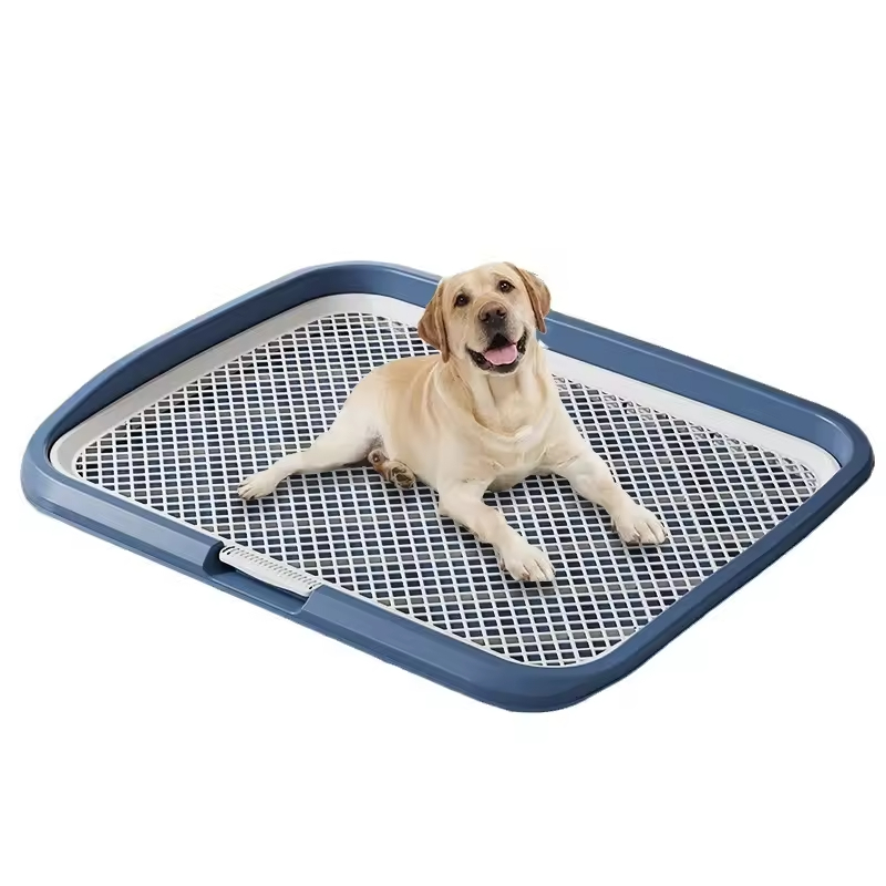 Dog Toilet with Removable Mesh Tray