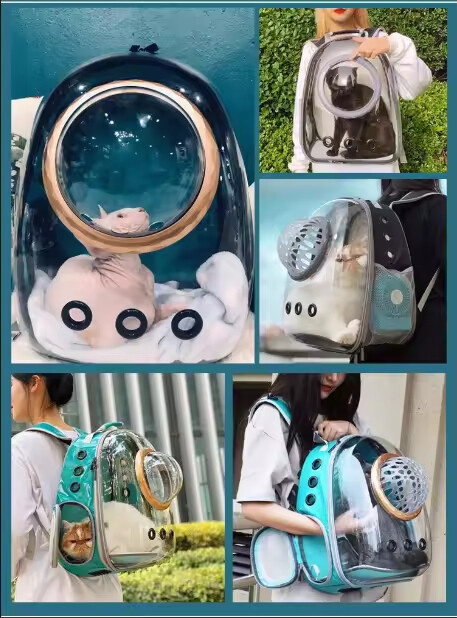 Portable and Breathable Pet Travel Bag