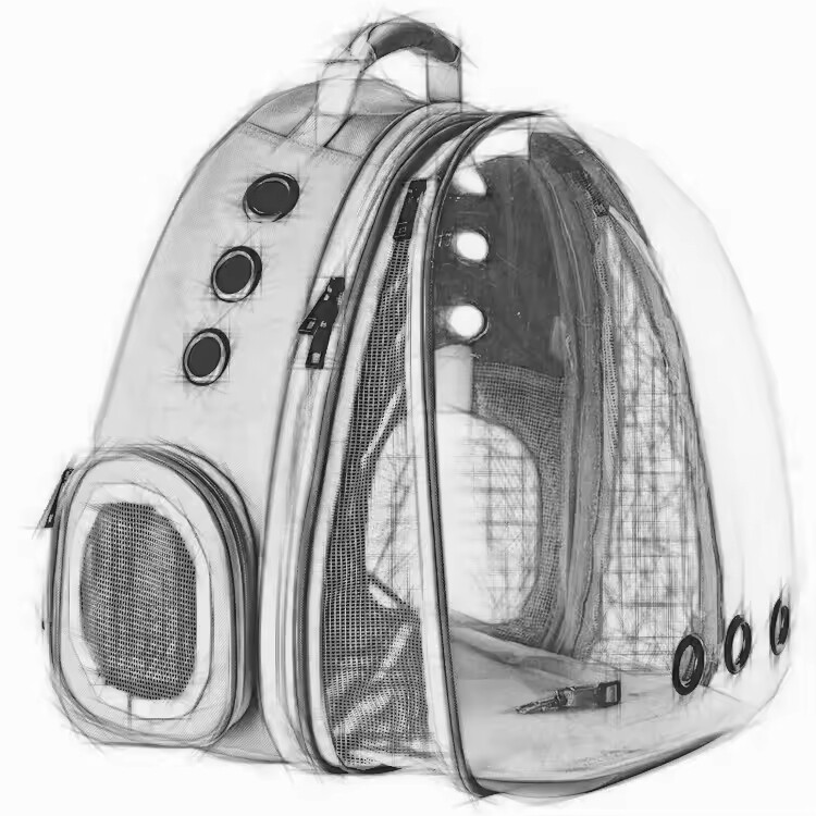 Portable and Breathable Pet Travel Bag