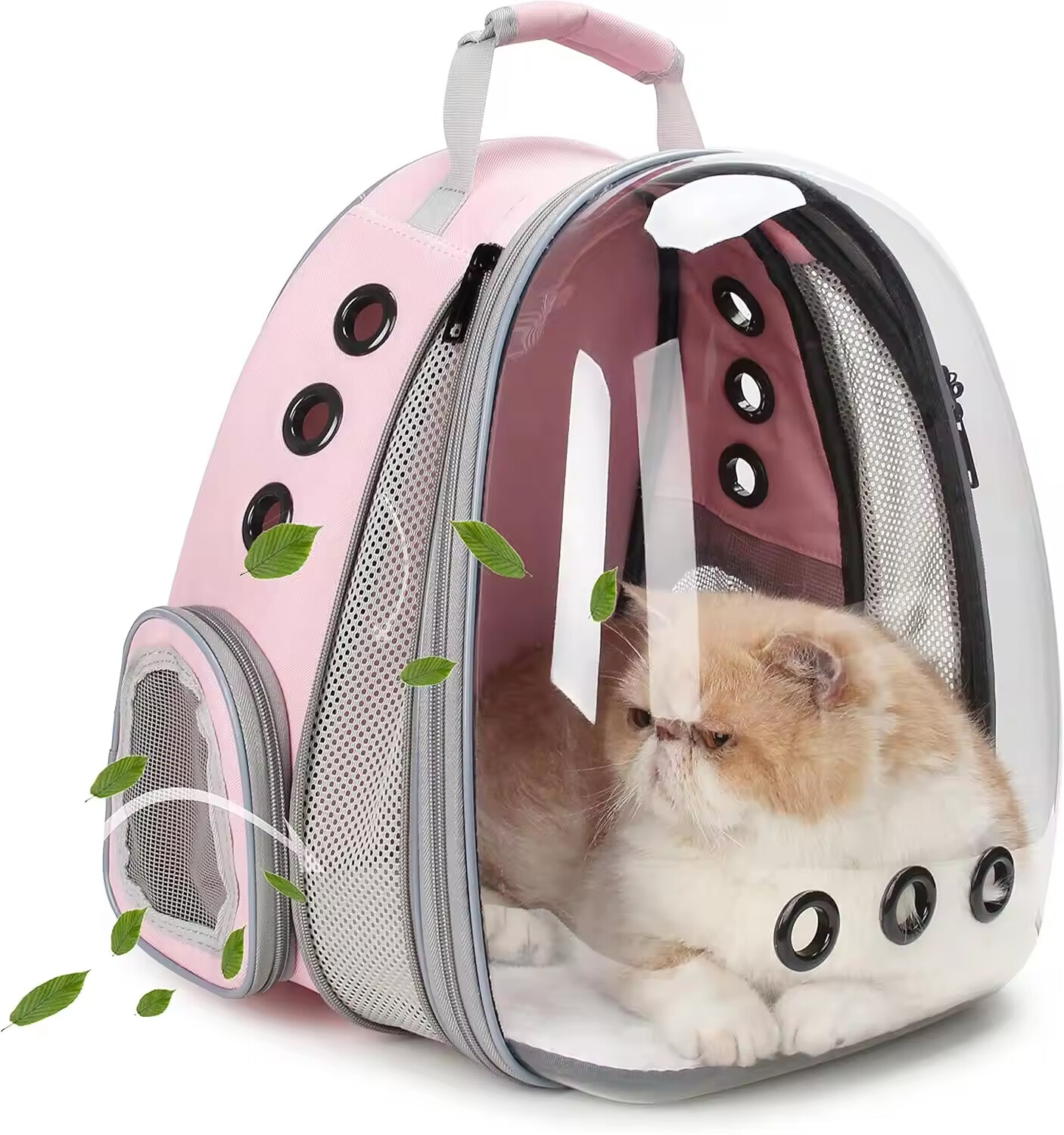 Pet Travel Carrier for Cats and Dogs