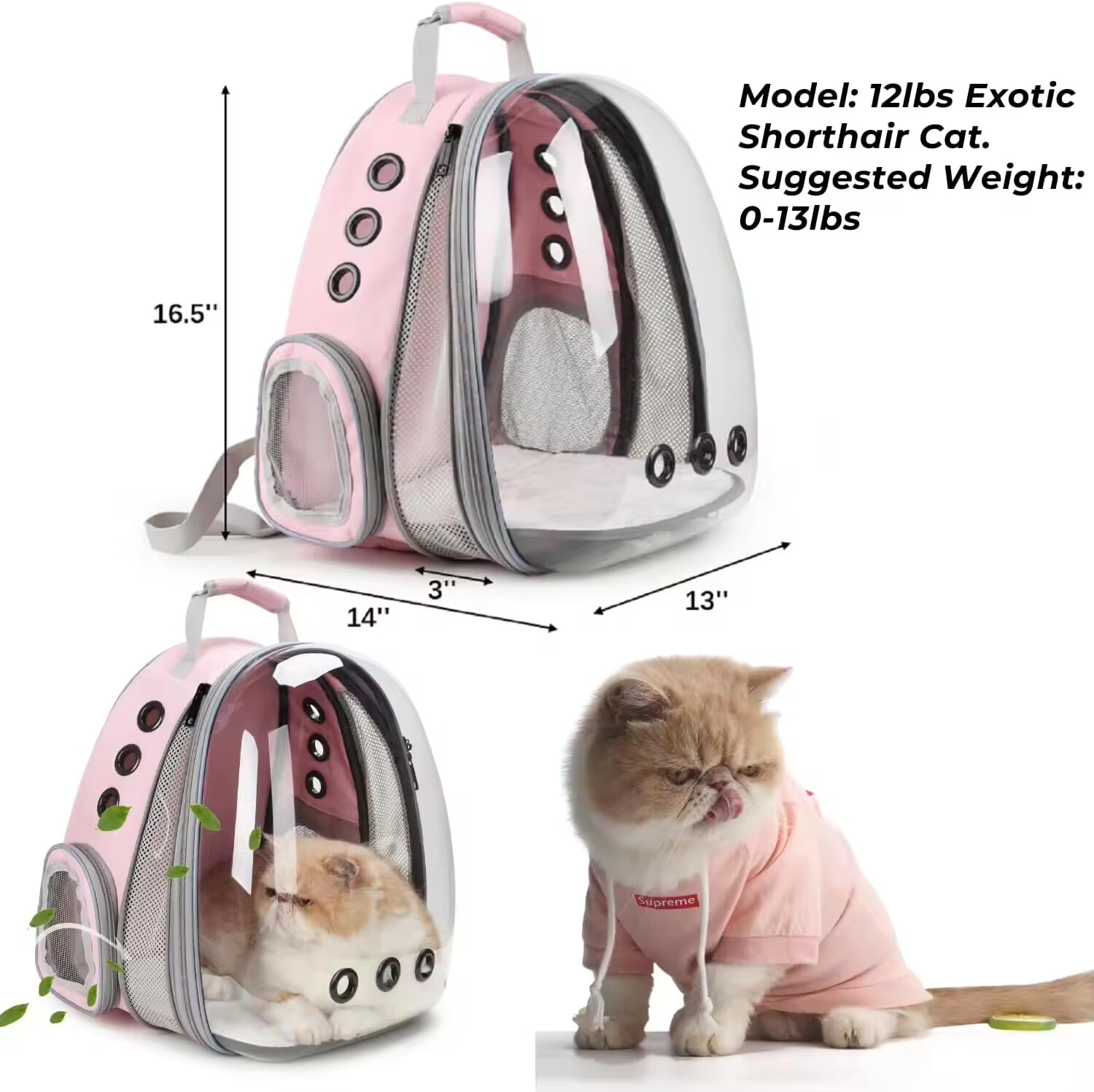 Pet Travel Carrier for Cats and Dogs