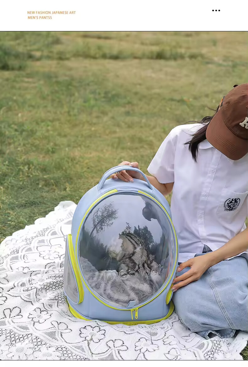  Pet Travel Carrying Bag