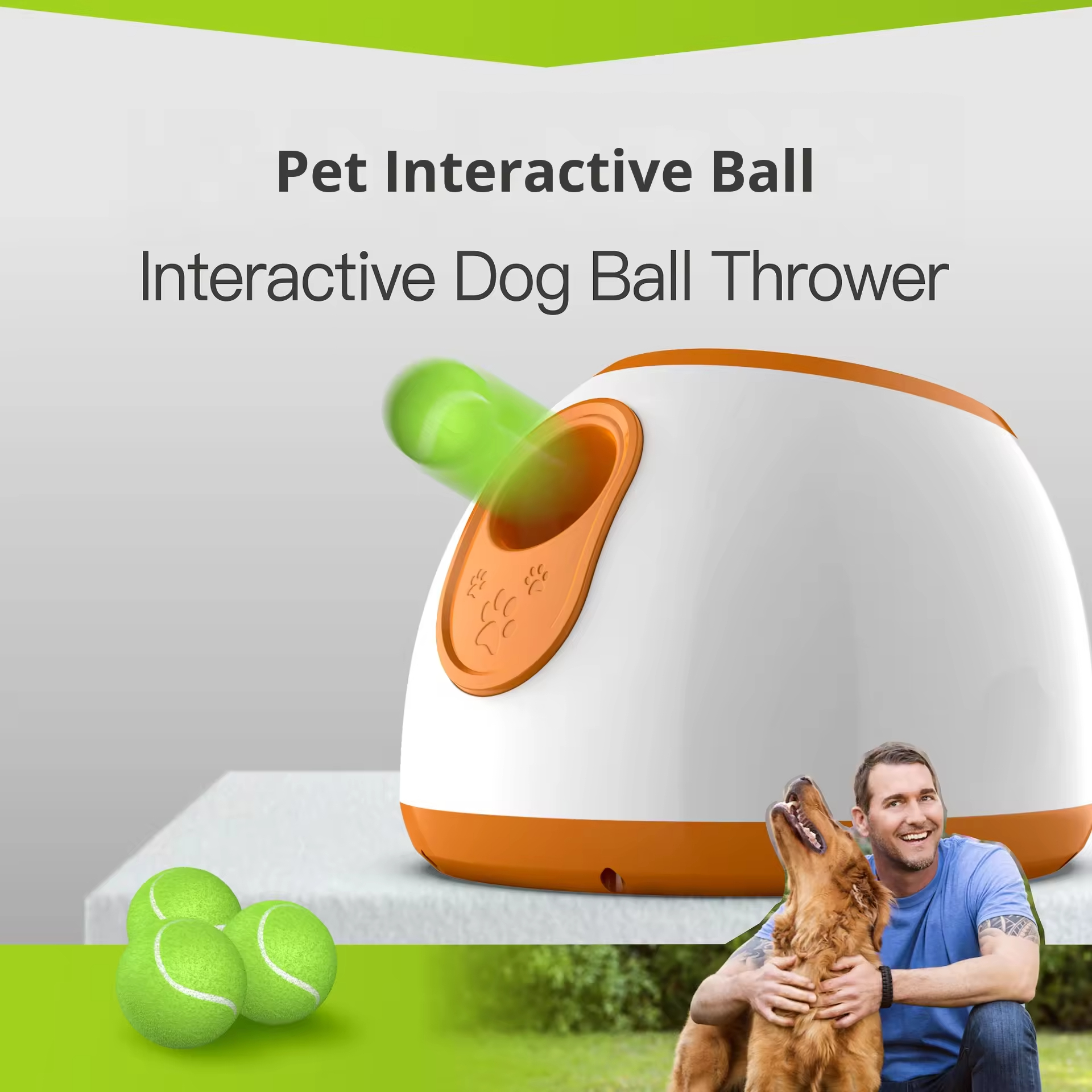 Pet Smart Interactive Toy