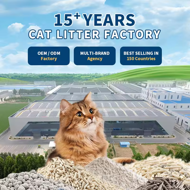 Factory Direct Sales OEM High Quality Tidy Pellet Spherical Bentonite Cat Litter