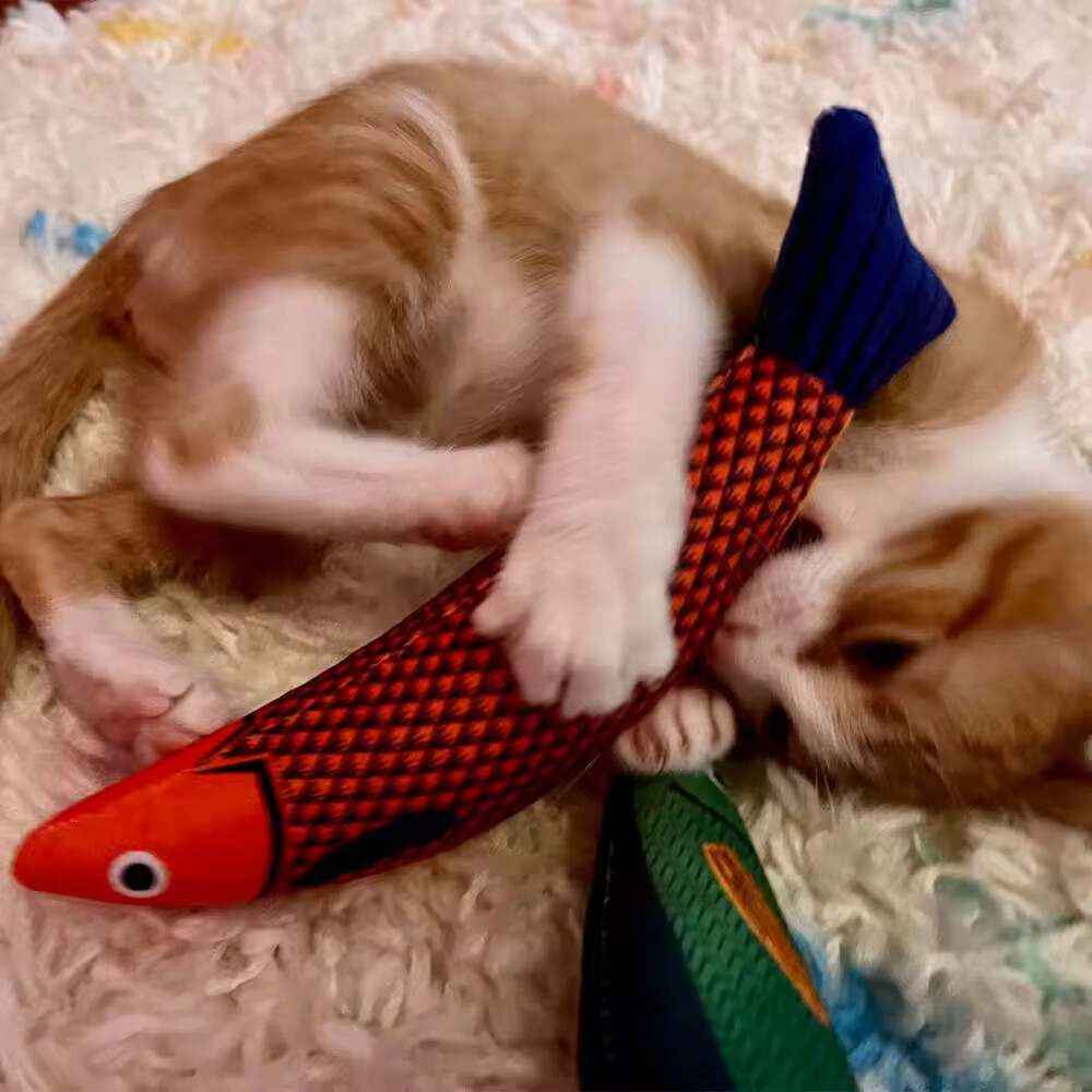 Interactive Catnip Kicker Toys