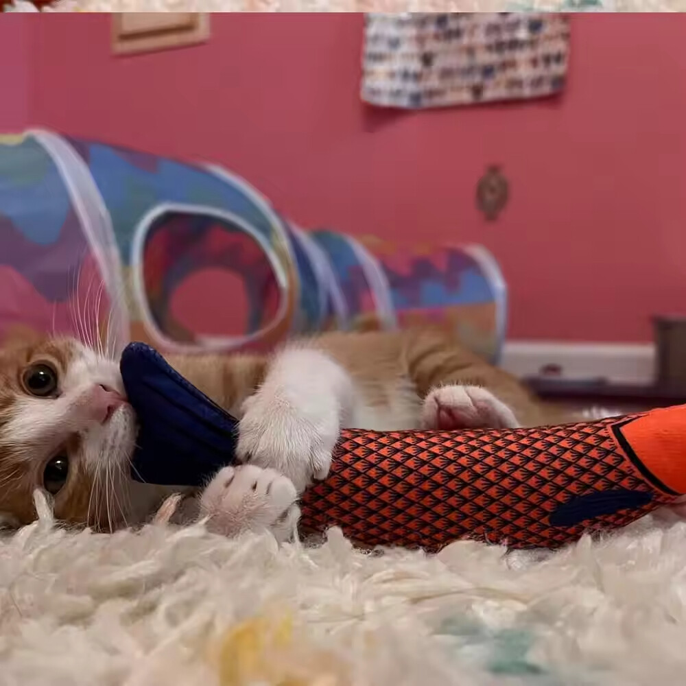 Interactive Catnip Kicker Toys