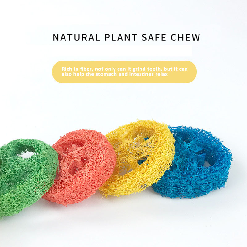 Clean toothed loofah