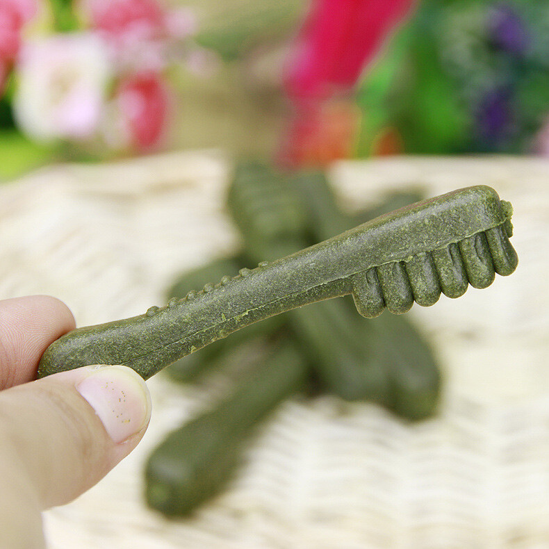 Toothbrush for cleaning teeth and bones