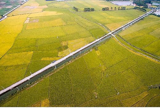 Green development of Fangzheng rice experimental field.png