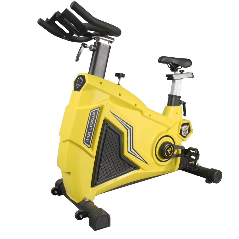 SQ-1028 SPINNING BIKE