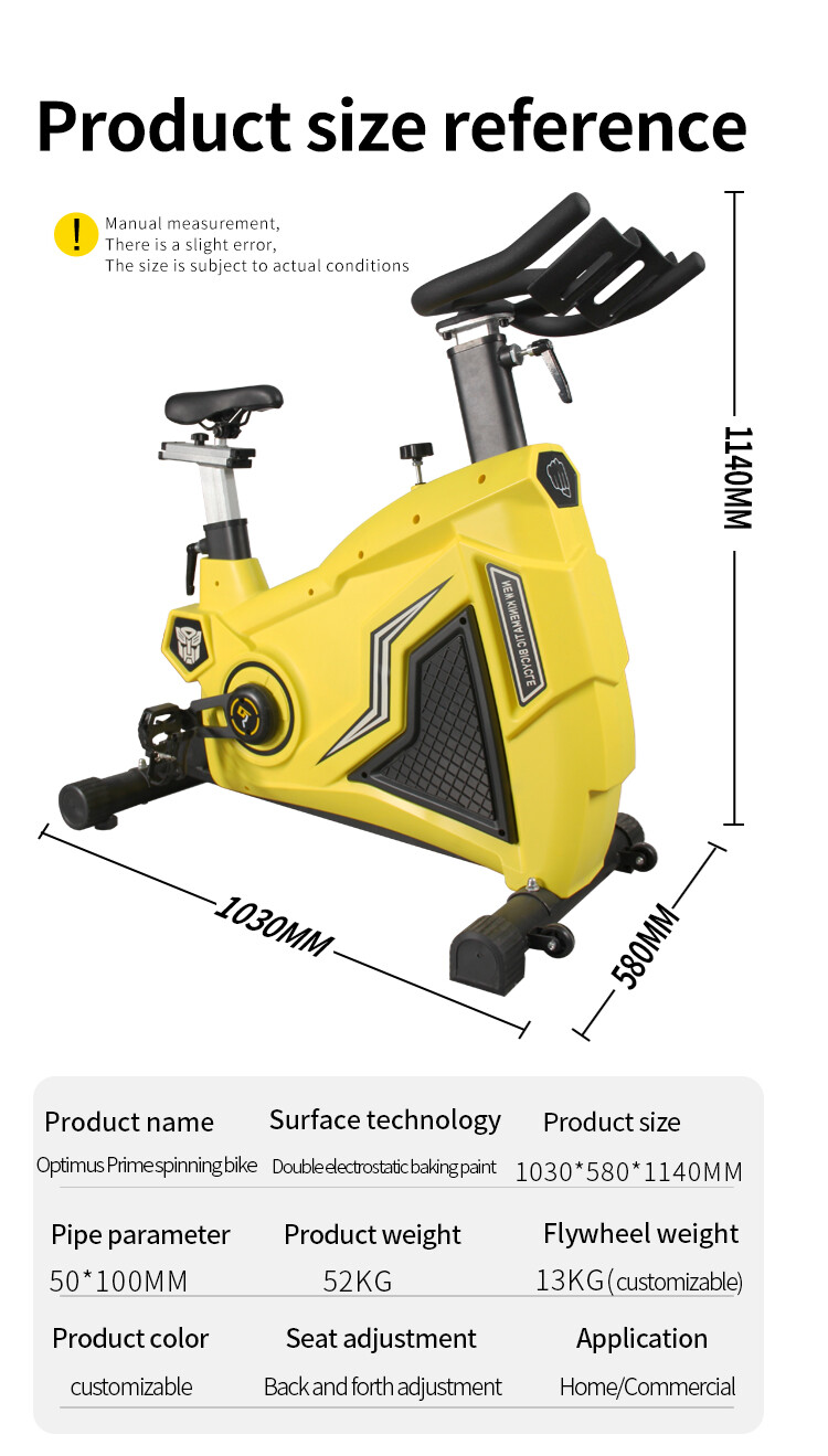 SQ-1028 SPINNING BIKE