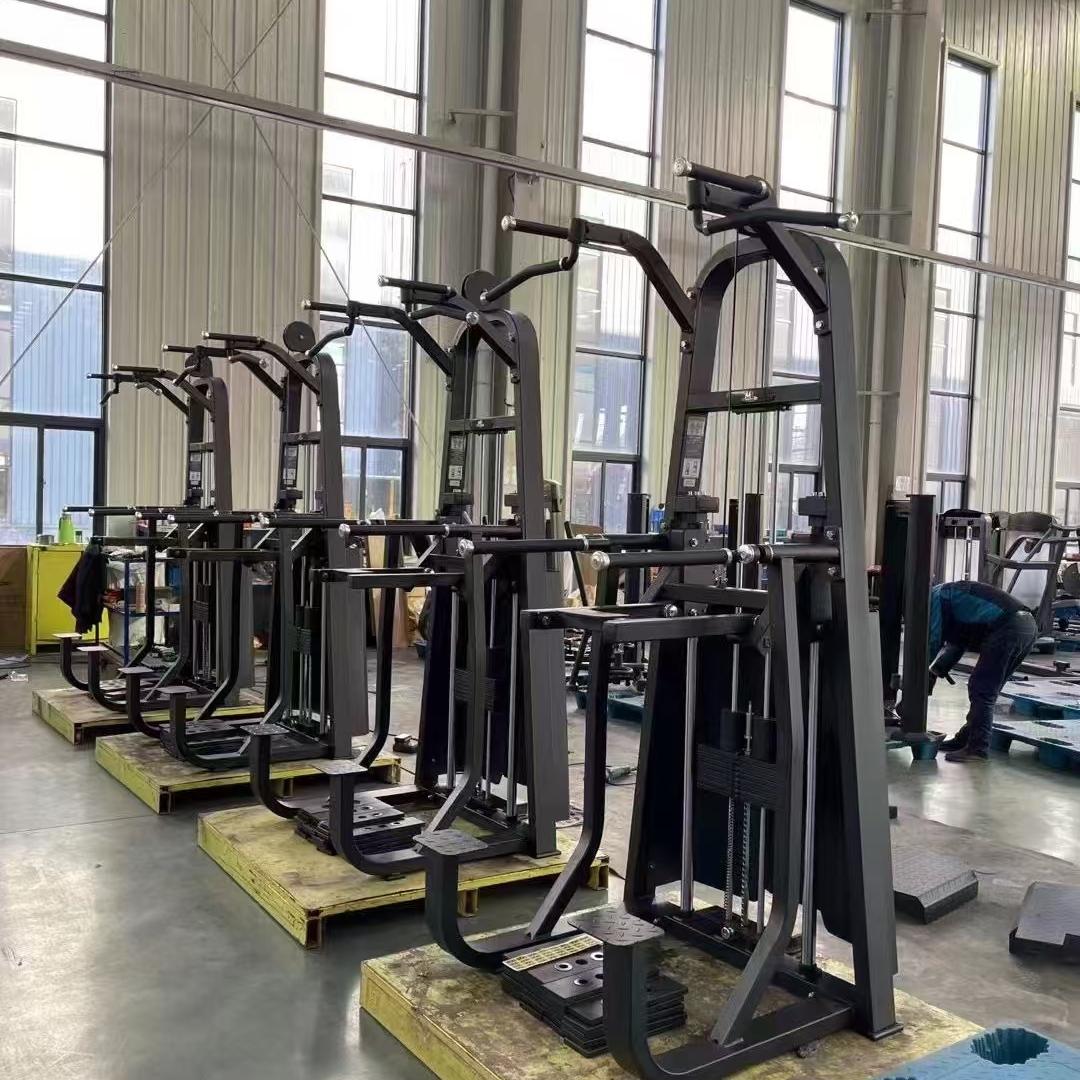 SQ-2007 Dip/Chin assist