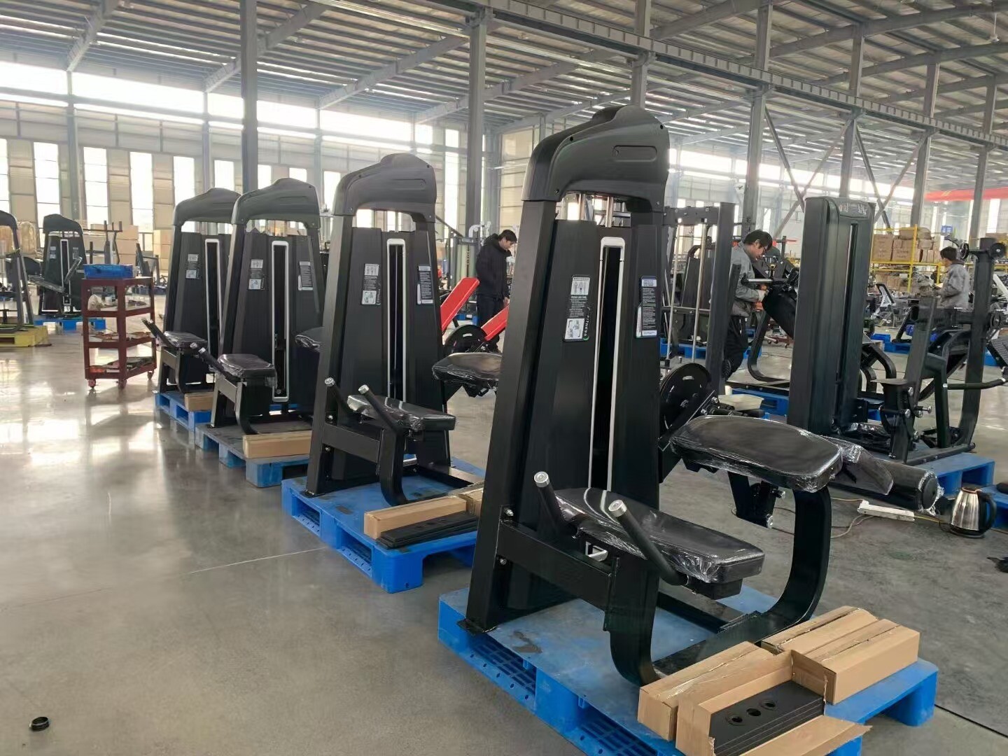 SQ-2001 Prone leg curl