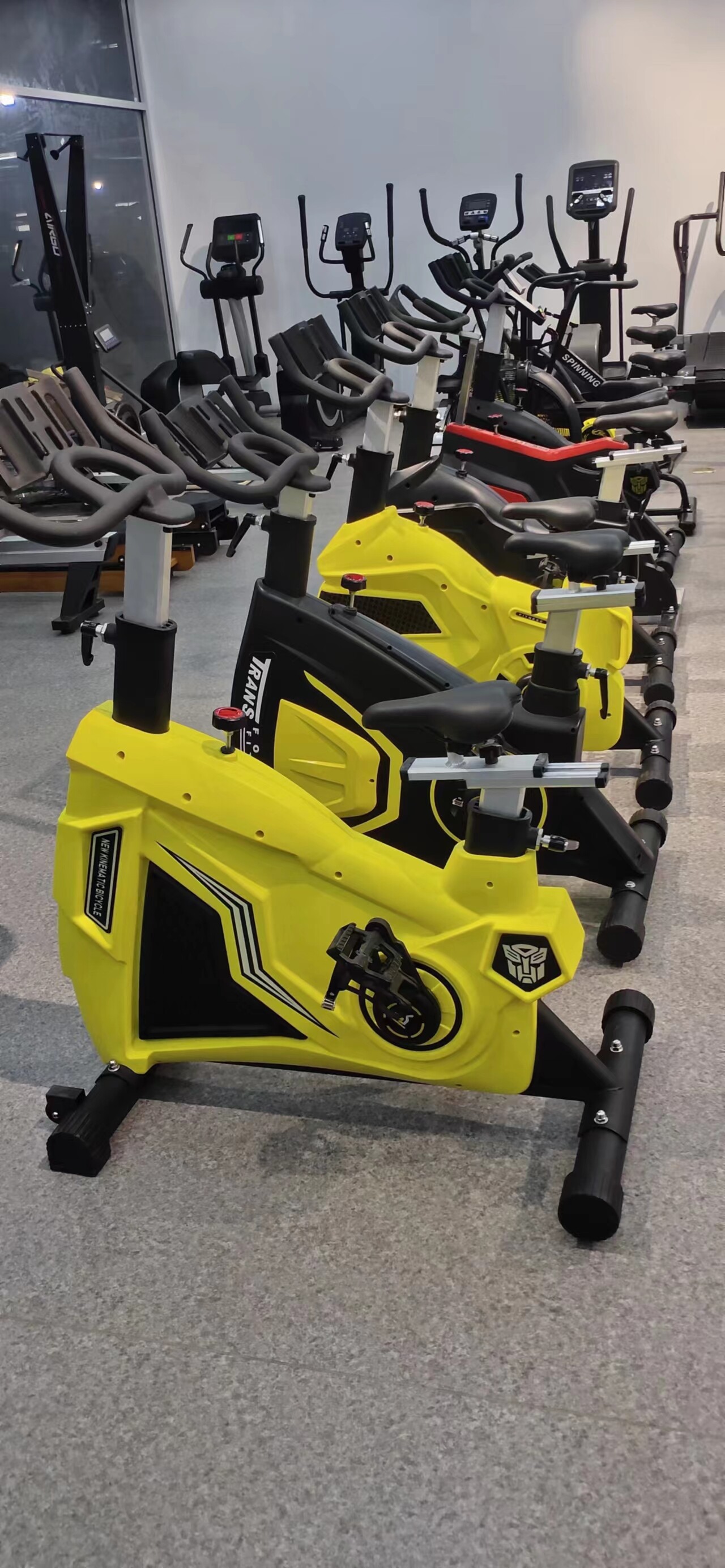 SQ-1032 Spinning Bike