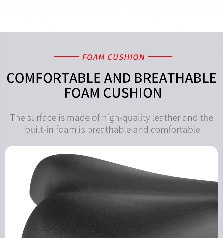 SQ-1029 Spinning Bike