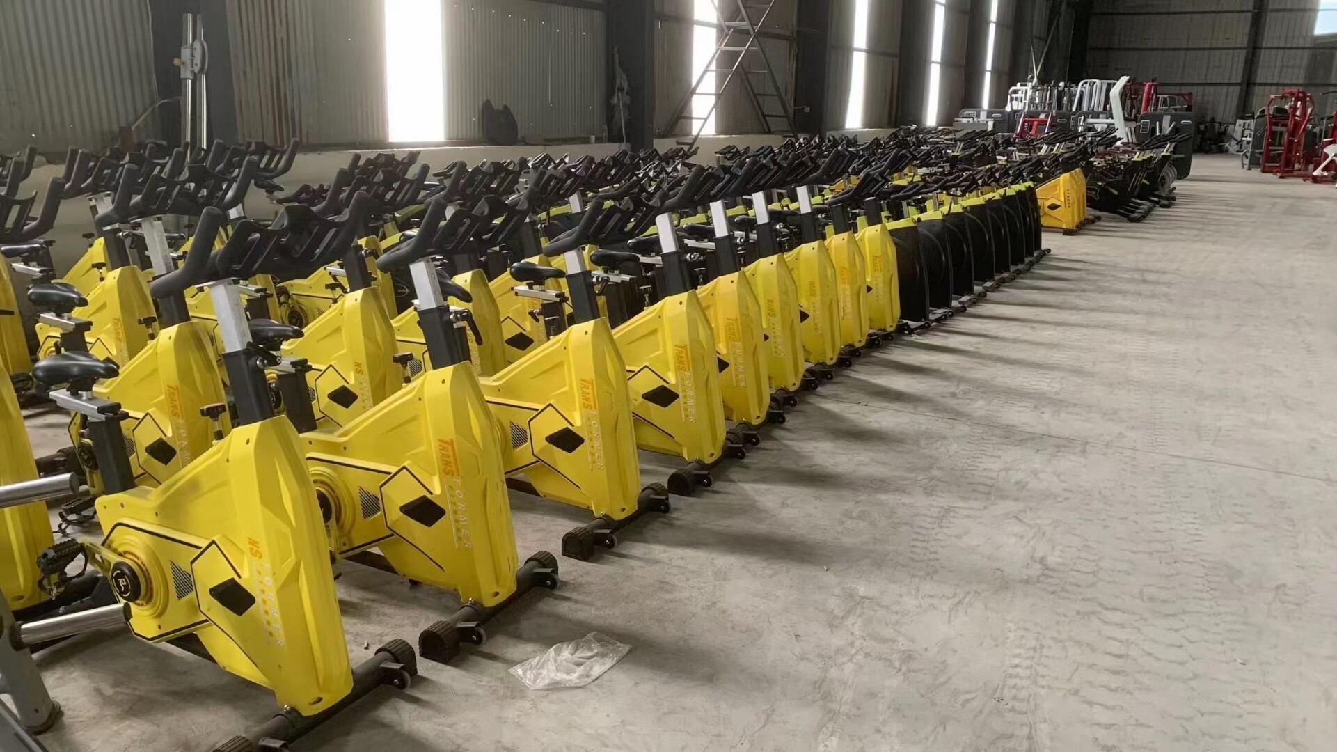 SQ-1028 SPINNING BIKE