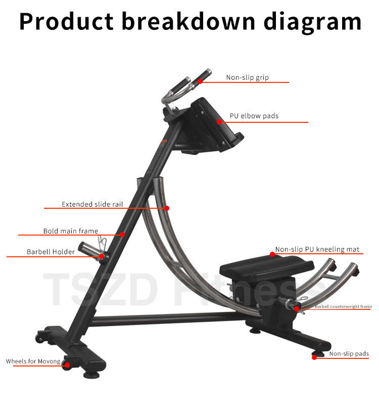 SQ-1026 ABDOMINAL MACHINE