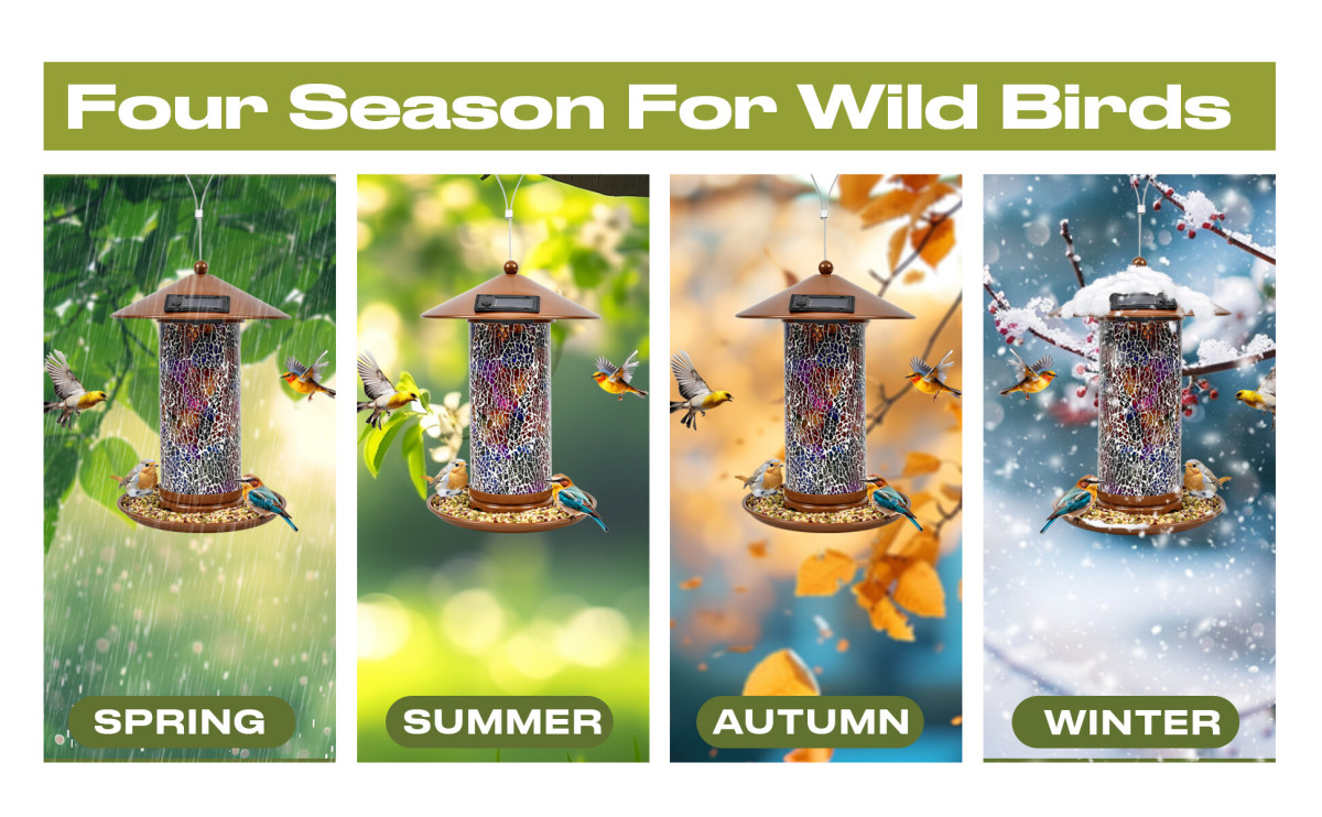 太阳能款 喂鸟器 A+1.8.jpg