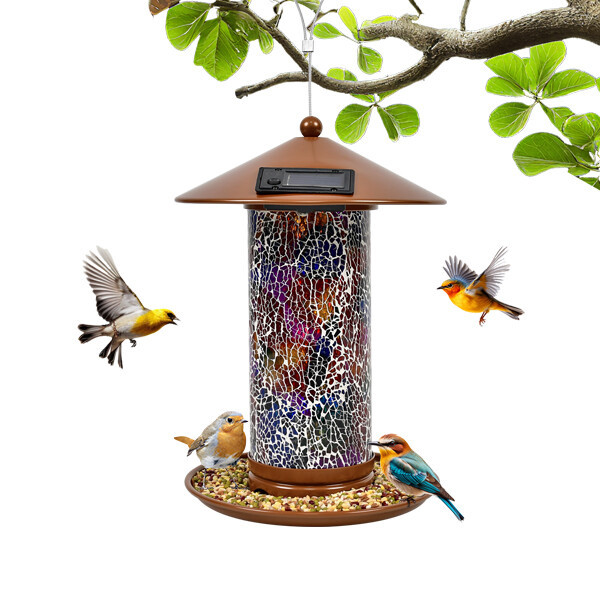 太阳能款 喂鸟器 A+9.jpg