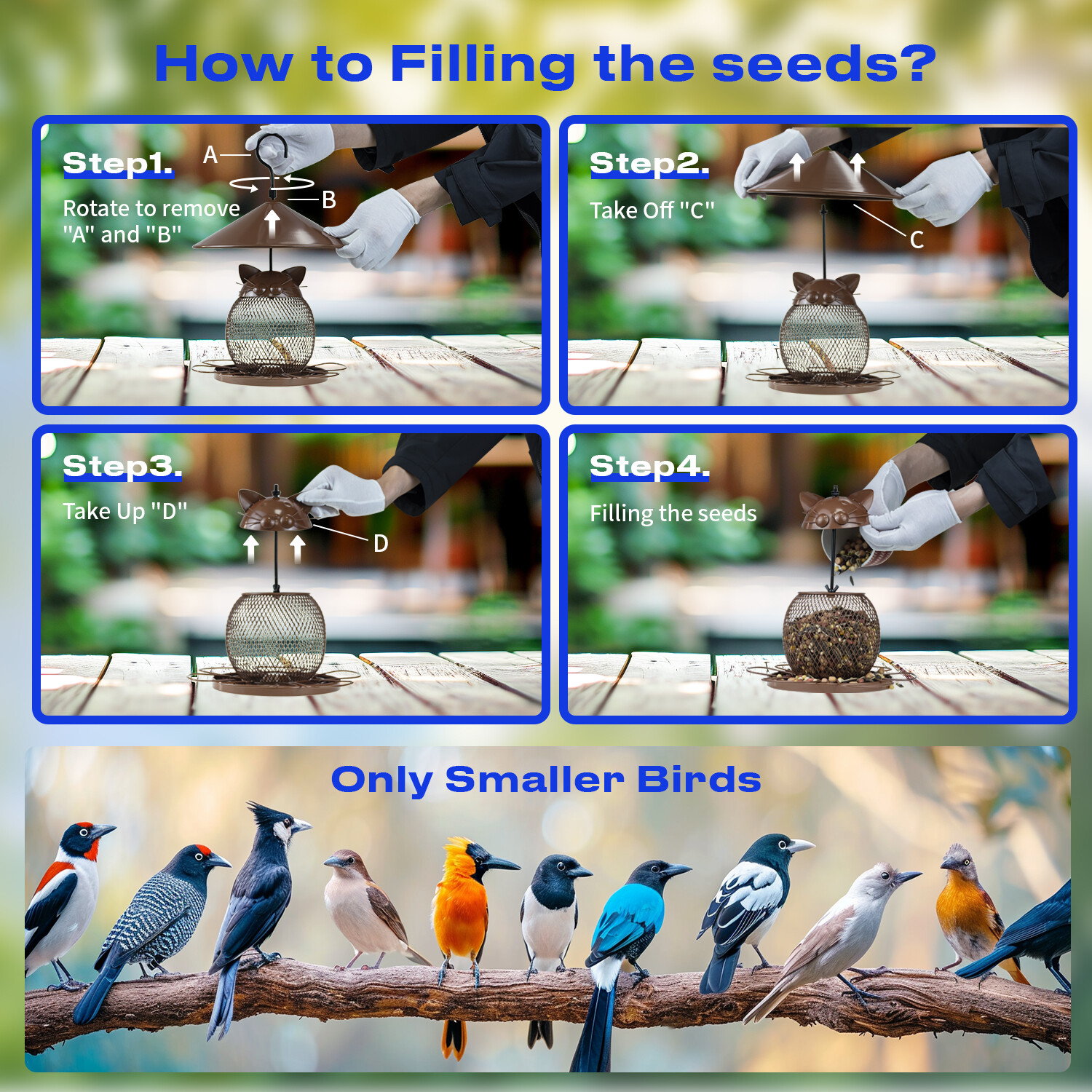 Comedero de búho pardo