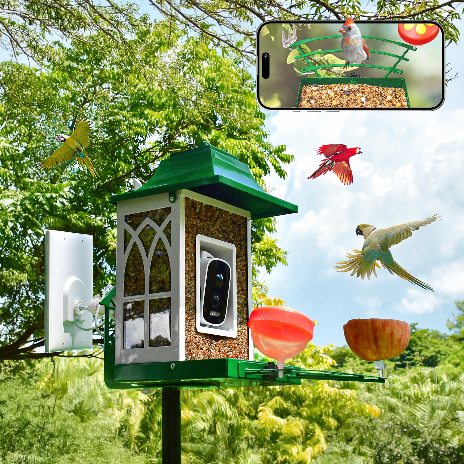 Comedero para pájaros Green smart