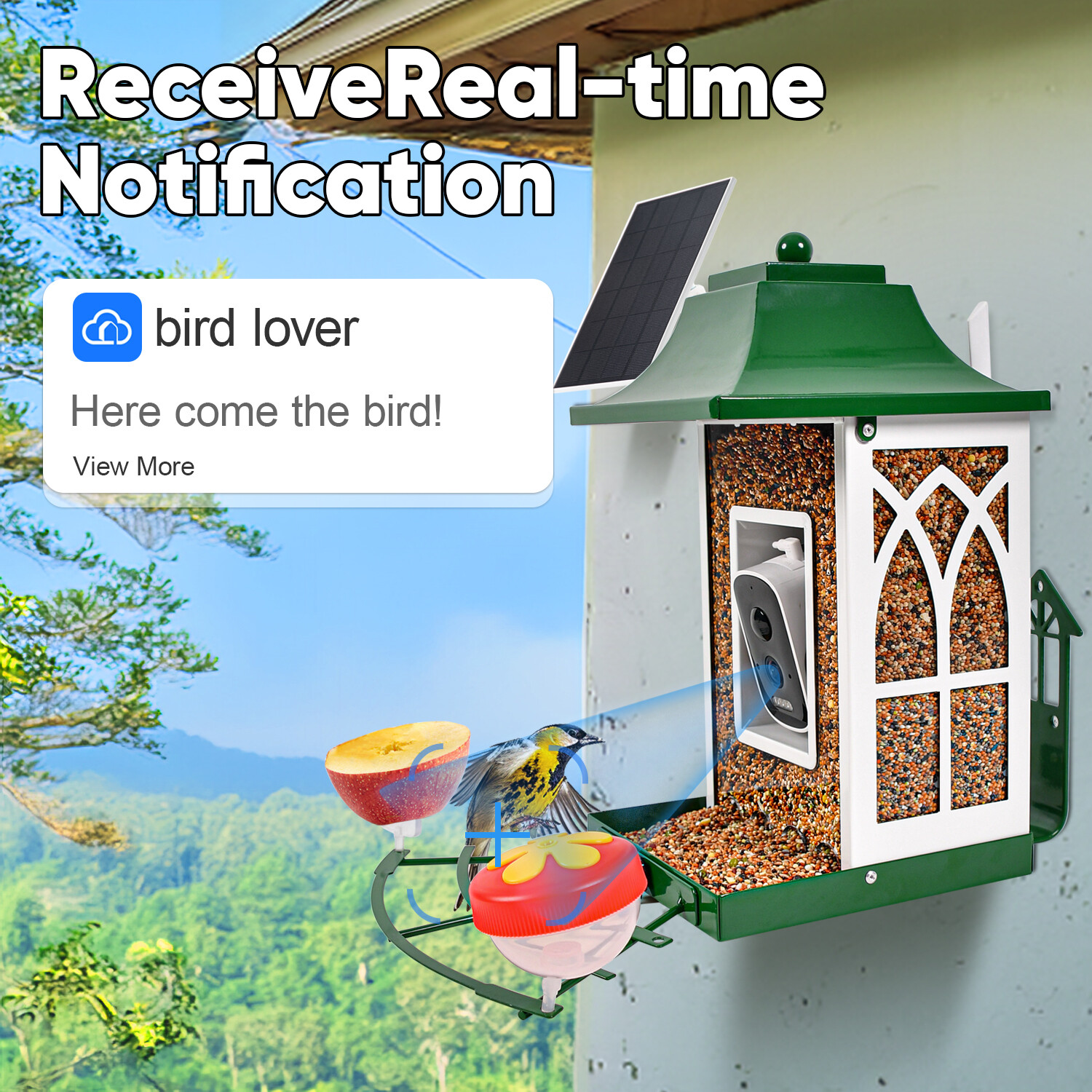 Comedero para pájaros Green smart