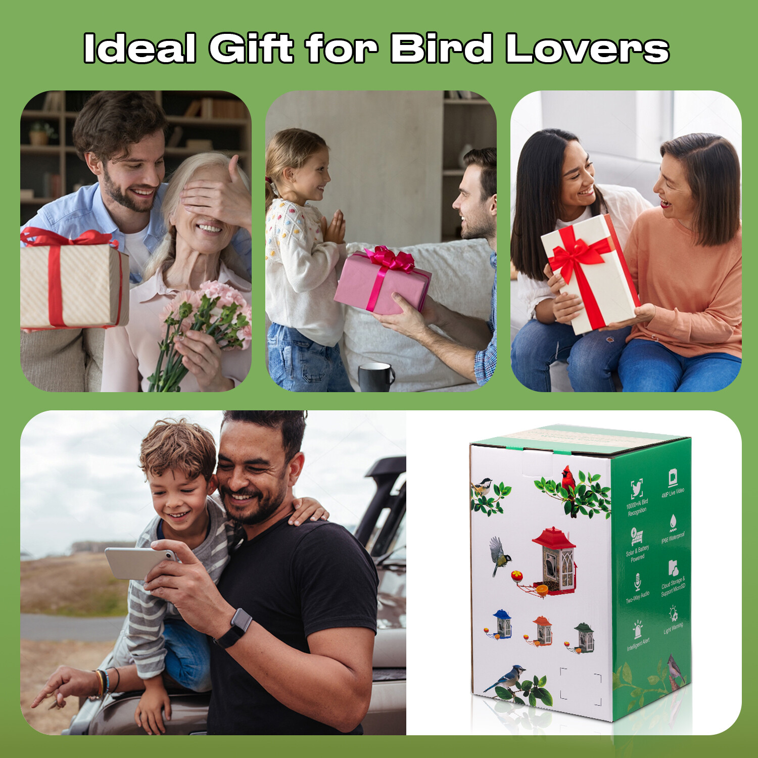 Comedero para pájaros Green smart