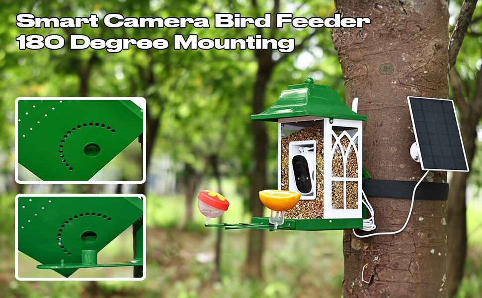 摄像头 喂鸟器a+6.jpg