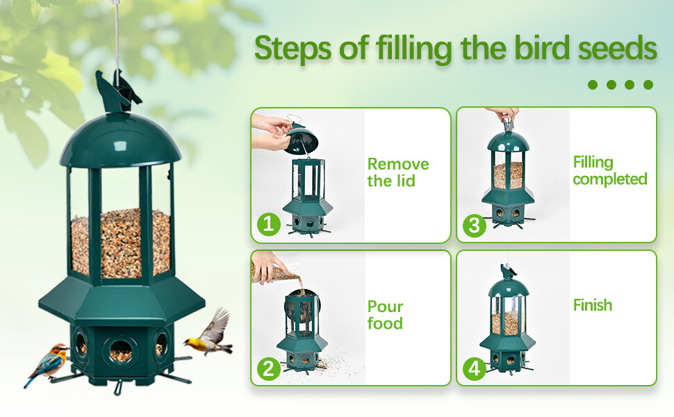 六边形绿色款喂鸟器 a+2.jpg