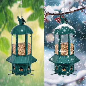 六边形绿色款喂鸟器 a+2.2.jpg