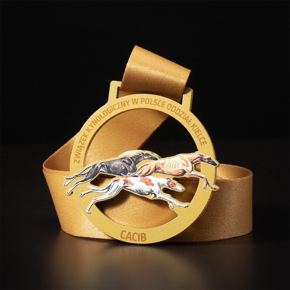 Medallas de acrílico para competiciones de natación; medallas conmemorativas transparentes en bloques de color azul y amarillo para nadadores.