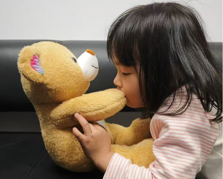 Children's Companion AI Toys