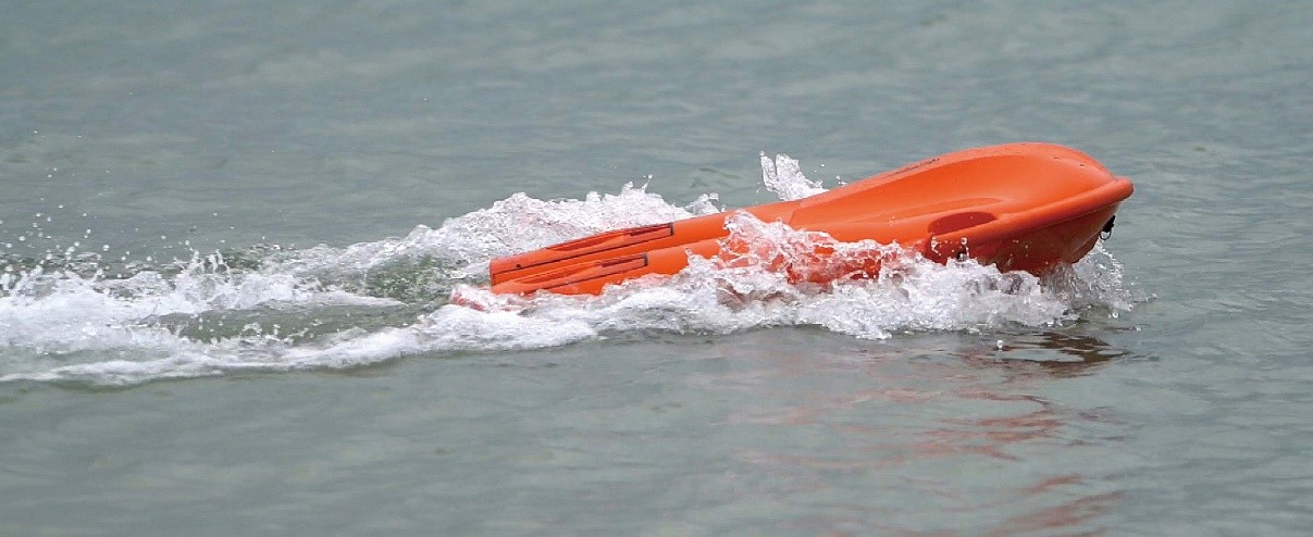 Intelligent Lifebuoy (1)