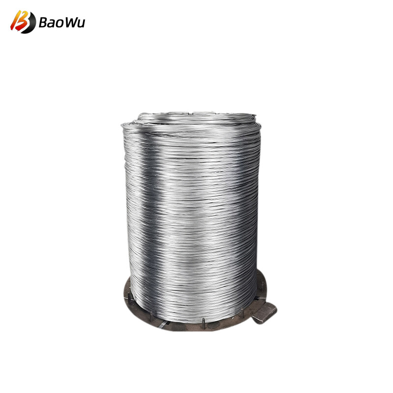 Stainless Steel Wire