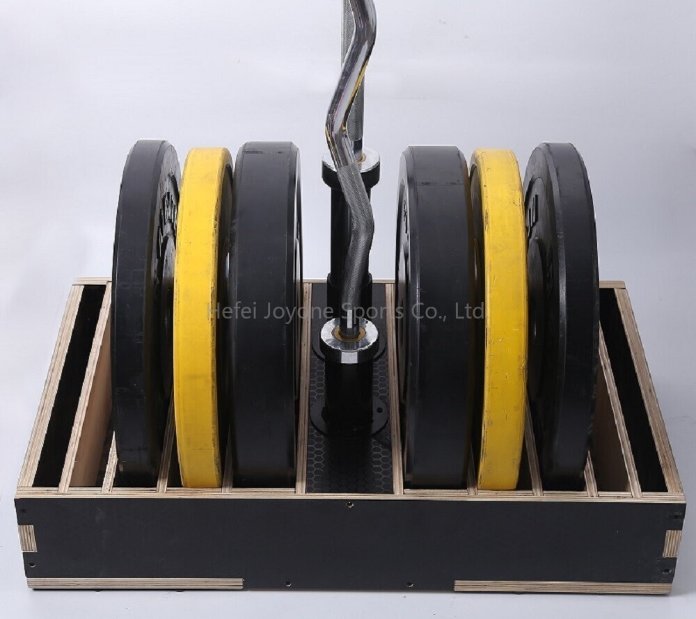 Bumper Plates Rack
