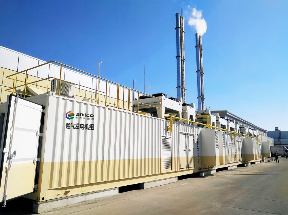 AMICO cogeneration for supermarket in Russia