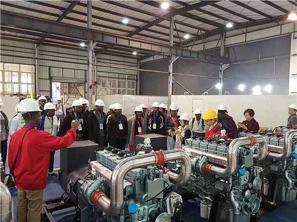 São Tomé and Príncipe Biogas Expert Visits AMICO