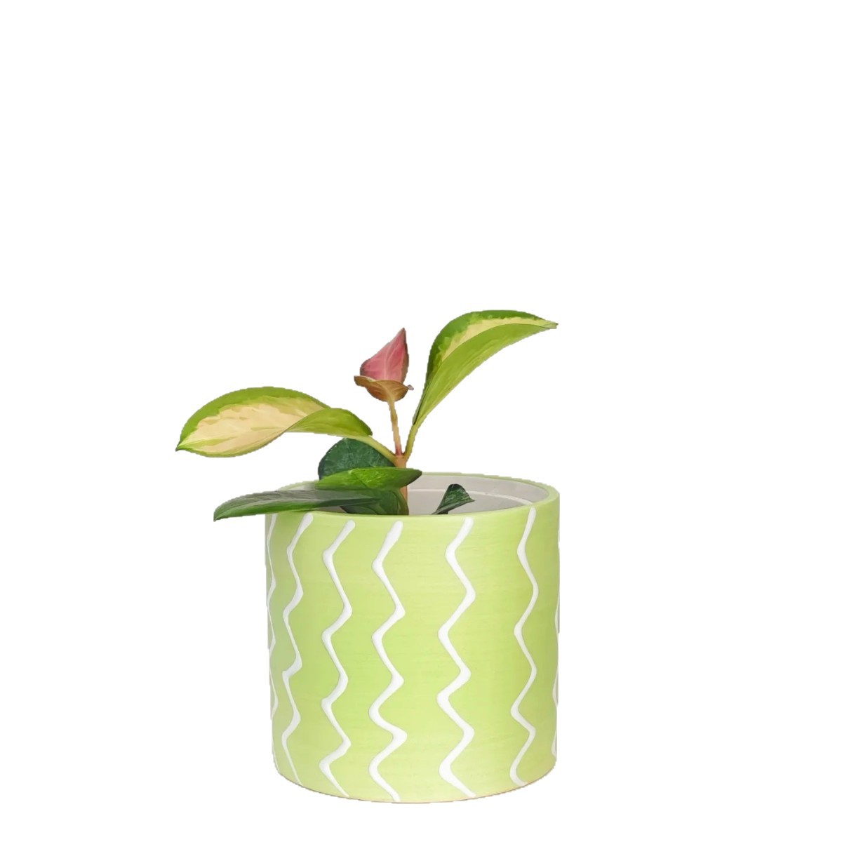 Hand-painted ceramic planter
