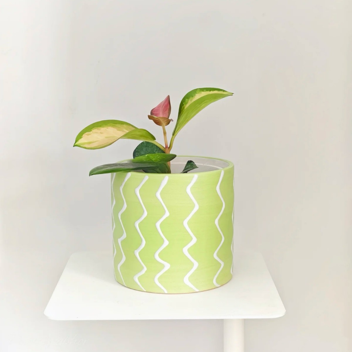 Hand-painted ceramic planter