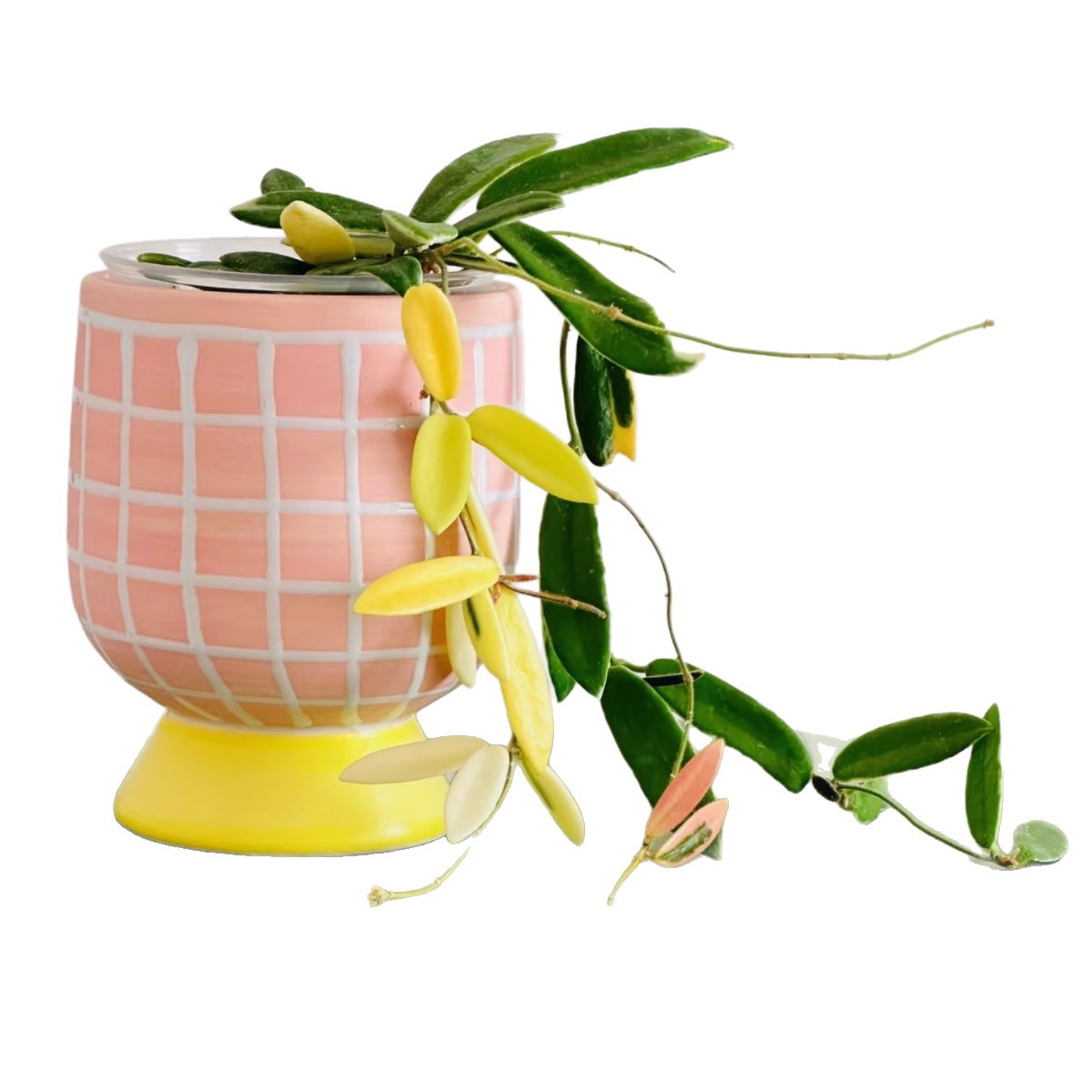 Hand-painted ceramic planter