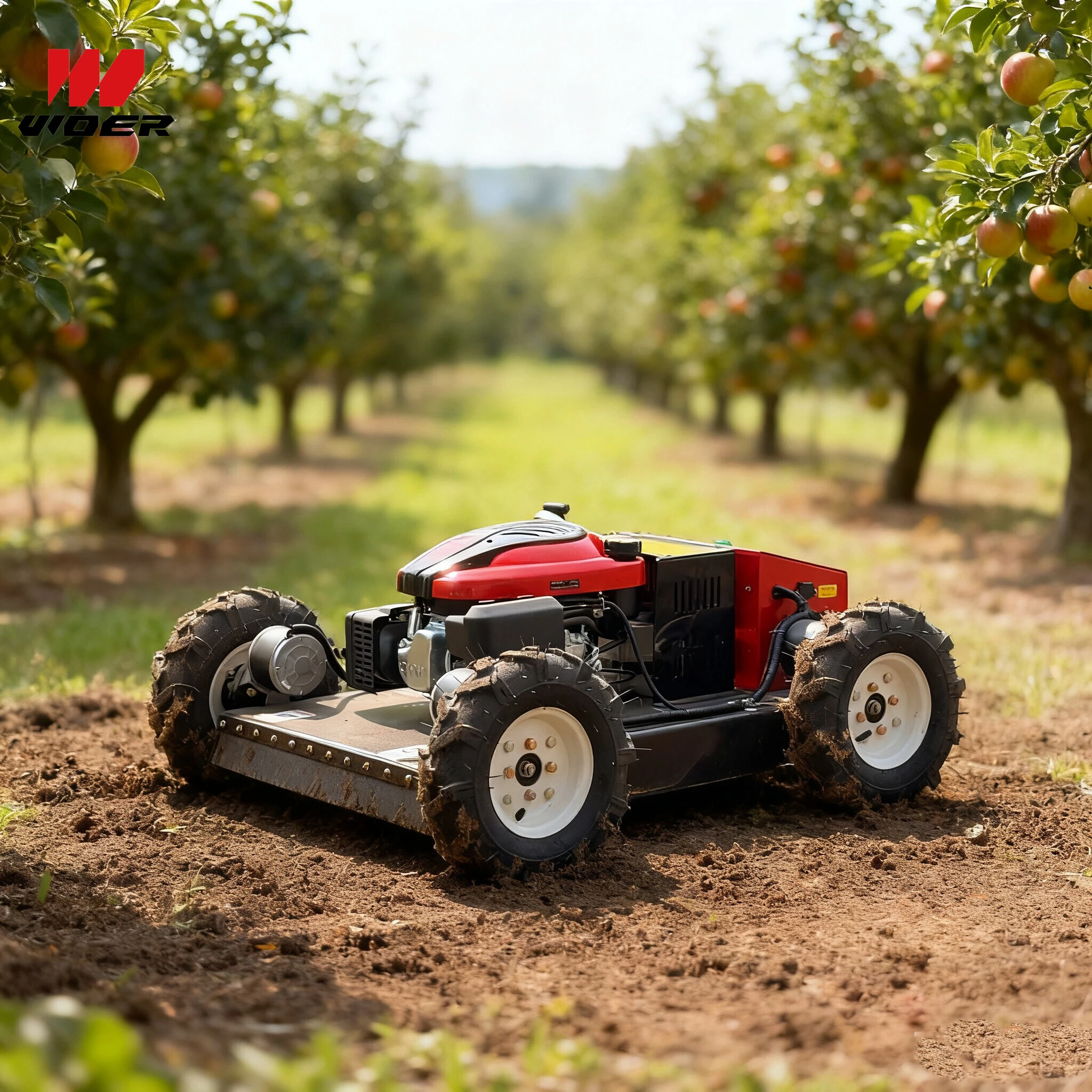 Top-rated petrol lawn mower Models for Heavy-Duty Landscaping