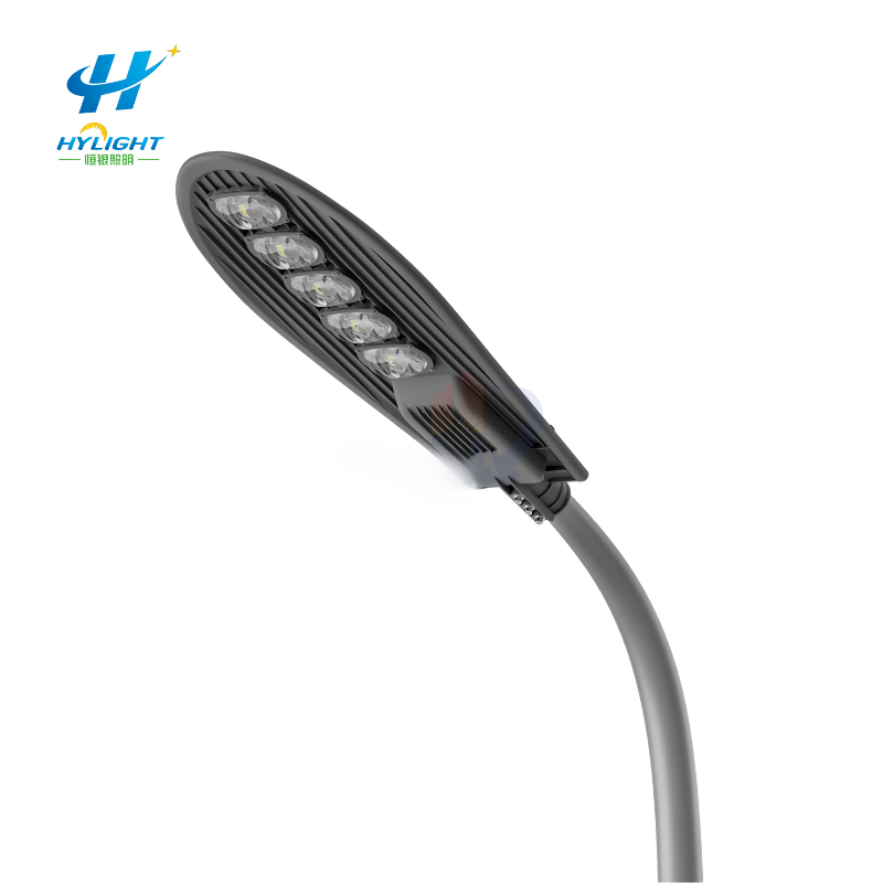 50W extérieur haute luminosité circuit lumineux ville 6 mètres LED éclairage de rue